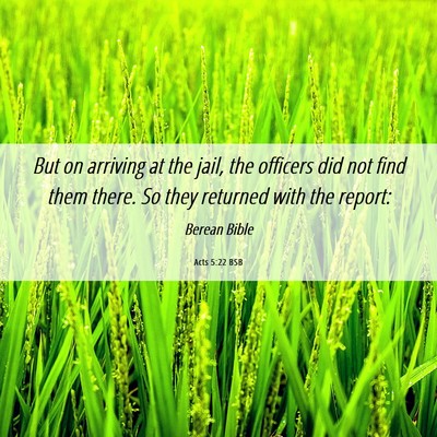 Picture 06 - Acts 5:22 BSB - But on arriving at the jail, the officers did not - Bible Verse Picture
