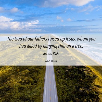 Picture 06 - Acts 5:30 BSB - The God of our fathers raised up Jesus, whom you - Bible Verse Picture