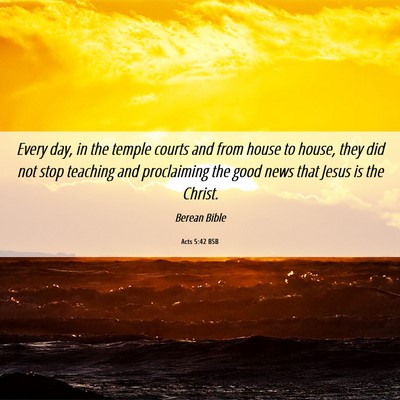 Picture 06 - Acts 5:42 BSB - Every day, in the temple courts and from house to - Bible Verse Picture