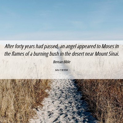 Picture 06 - Acts 7:30 BSB - After forty years had passed, an angel appeared - Bible Verse Picture