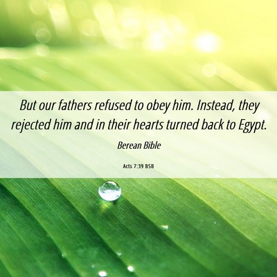 Picture 06 - Acts 7:39 BSB - But our fathers refused to obey him. Instead, - Bible Verse Picture
