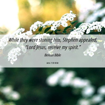 Picture 06 - Acts 7:59 BSB - While they were stoning him, Stephen appealed, - Bible Verse Picture