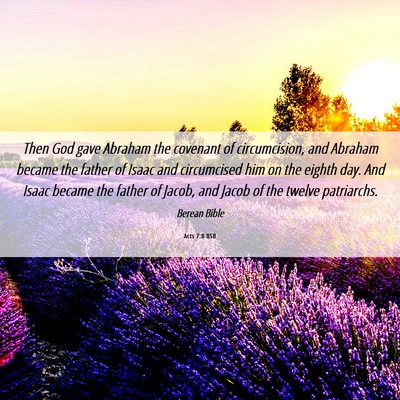Picture 06 - Acts 7:8 BSB - Then God gave Abraham the covenant of - Bible Verse Picture