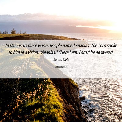 Picture 06 - Acts 9:10 BSB - In Damascus there was a disciple named Ananias. - Bible Verse Picture