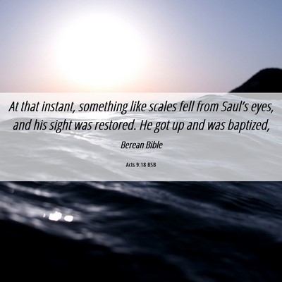 Picture 06 - Acts 9:18 BSB - At that instant, something like scales fell from - Bible Verse Picture