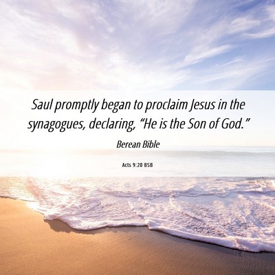 Picture 06 - Acts 9:20 BSB - Saul promptly began to proclaim Jesus in the - Bible Verse Picture