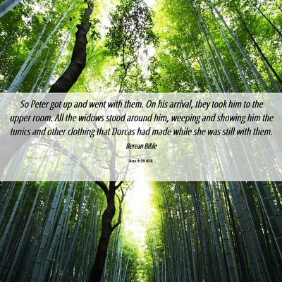 Picture 06 - Acts 9:39 BSB - So Peter got up and went with them. On his - Bible Verse Picture