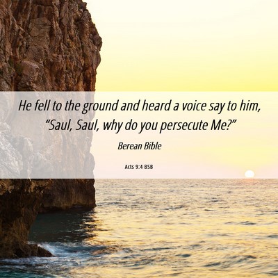 Picture 06 - Acts 9:4 BSB - He fell to the ground and heard a voice say to - Bible Verse Picture