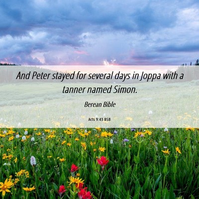 Picture 06 - Acts 9:43 BSB - And Peter stayed for several days in Joppa with a - Bible Verse Picture