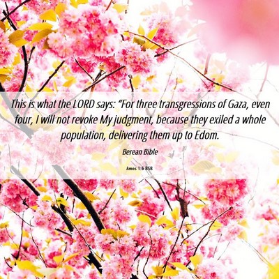 Picture 06 - Amos 1:6 BSB - This is what the LORD says: “For three - Bible Verse Picture