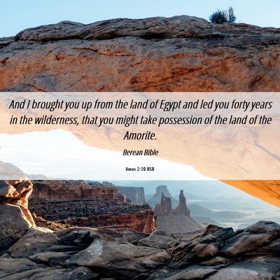 Picture 06 - Amos 2:10 BSB - And I brought you up from the land of Egypt and - Bible Verse Picture