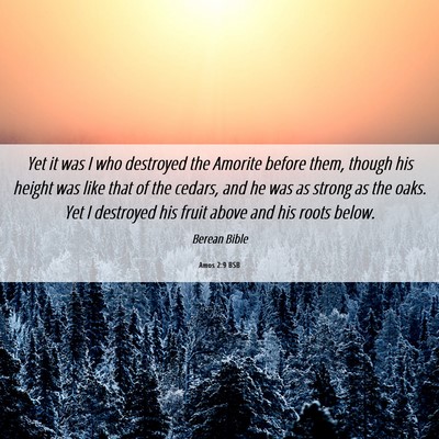 Picture 06 - Amos 2:9 BSB - Yet it was I who destroyed the Amorite before - Bible Verse Picture