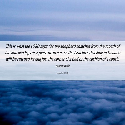 Picture 06 - Amos 3:12 BSB - This is what the LORD says: “As the shepherd - Bible Verse Picture