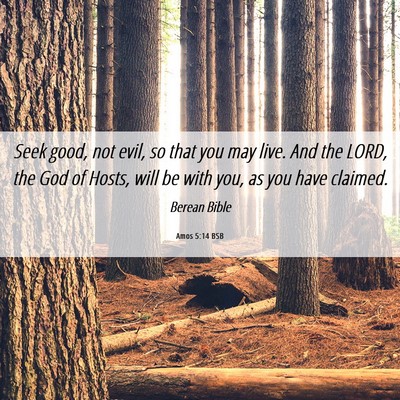Picture 06 - Amos 5:14 BSB - Seek good, not evil, so that you may live. And - Bible Verse Picture
