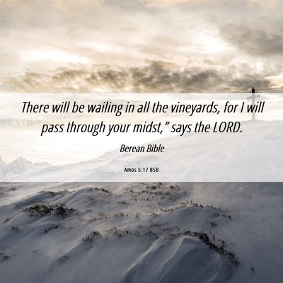 Picture 06 - Amos 5:17 BSB - There will be wailing in all the vineyards, for I - Bible Verse Picture