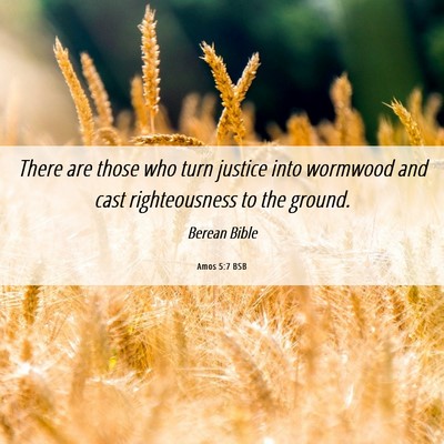 Picture 06 - Amos 5:7 BSB - There are those who turn justice into wormwood - Bible Verse Picture