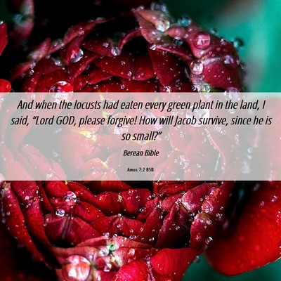 Picture 06 - Amos 7:2 BSB - And when the locusts had eaten every green plant - Bible Verse Picture