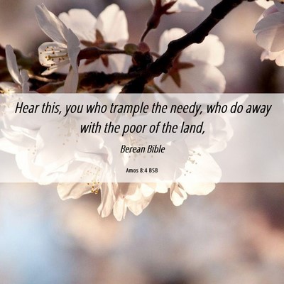 Picture 06 - Amos 8:4 BSB - Hear this, you who trample the needy, who do away - Bible Verse Picture