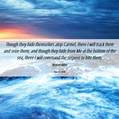 Picture 06 - Amos 9:3 BSB - Though they hide themselves atop Carmel, there I - Bible Verse Picture