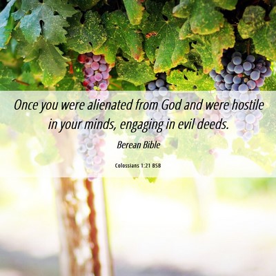 Picture 06 - Colossians 1:21 BSB - Once you were alienated from God and were hostile - Bible Verse Picture