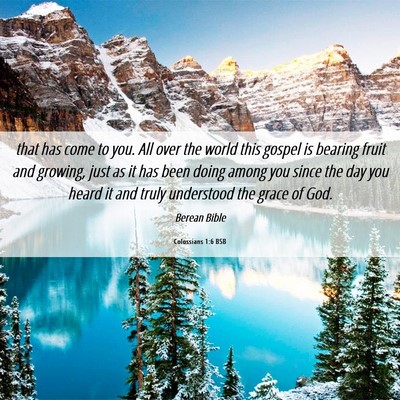 Picture 06 - Colossians 1:6 BSB - that has come to you. All over the world this - Bible Verse Picture