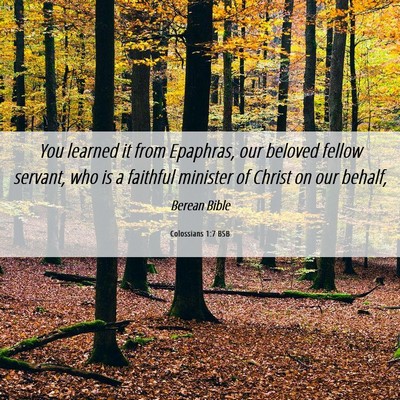 Picture 06 - Colossians 1:7 BSB - You learned it from Epaphras, our beloved fellow - Bible Verse Picture