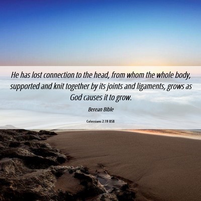 Picture 06 - Colossians 2:19 BSB - He has lost connection to the head, from whom the - Bible Verse Picture