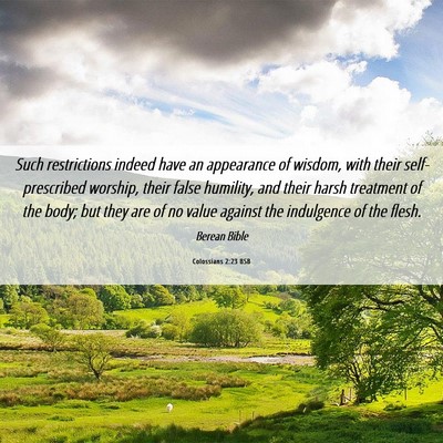Picture 06 - Colossians 2:23 BSB - Such restrictions indeed have an appearance of - Bible Verse Picture