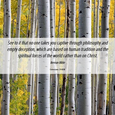 Picture 06 - Colossians 2:8 BSB - See to it that no one takes you captive through - Bible Verse Picture