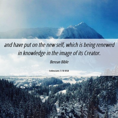 Picture 06 - Colossians 3:10 BSB - and have put on the new self, which is being - Bible Verse Picture