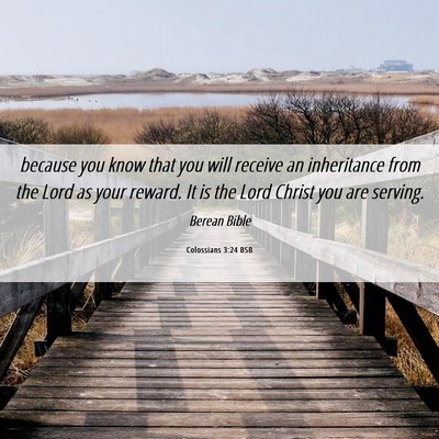 Picture 06 - Colossians 3:24 BSB - because you know that you will receive an - Bible Verse Picture