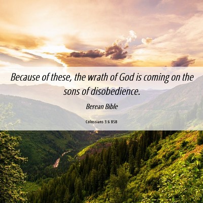 Picture 06 - Colossians 3:6 BSB - Because of these, the wrath of God is coming on - Bible Verse Picture