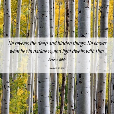 Picture 06 - Daniel 2:22 BSB - He reveals the deep and hidden things; He knows - Bible Verse Picture