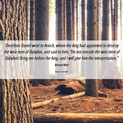Picture 06 - Daniel 2:24 BSB - Therefore Daniel went to Arioch, whom the king - Bible Verse Picture