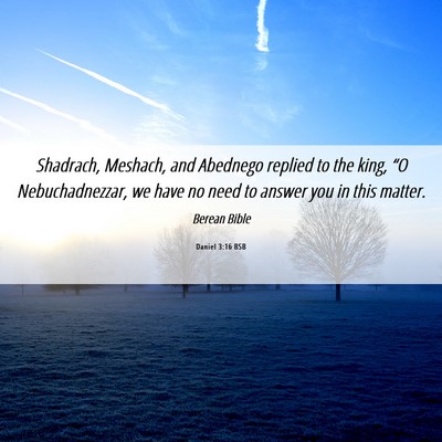 Picture 06 - Daniel 3:16 BSB - Shadrach, Meshach, and Abednego replied to the - Bible Verse Picture