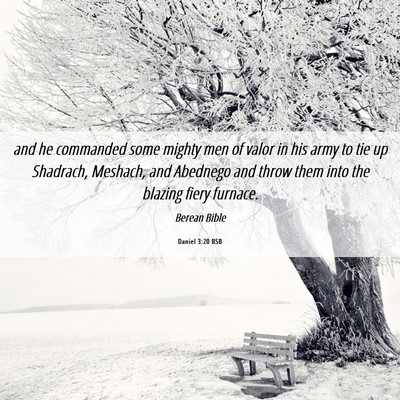 Picture 06 - Daniel 3:20 BSB - and he commanded some mighty men of valor in his - Bible Verse Picture