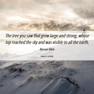 Picture 06 - Daniel 4:20 BSB - The tree you saw that grew large and strong, - Bible Verse Picture
