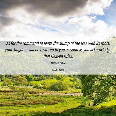 Picture 06 - Daniel 4:26 BSB - As for the command to leave the stump of the tree - Bible Verse Picture