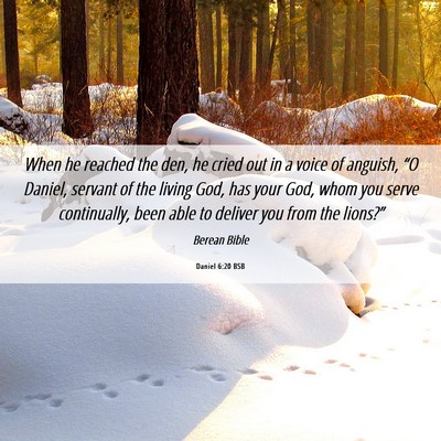 Picture 06 - Daniel 6:20 BSB - When he reached the den, he cried out in a voice - Bible Verse Picture