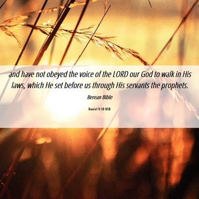 Picture 06 - Daniel 9:10 BSB - and have not obeyed the voice of the LORD our God - Bible Verse Picture