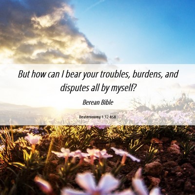 Picture 06 - Deuteronomy 1:12 BSB - But how can I bear your troubles, burdens, and - Bible Verse Picture