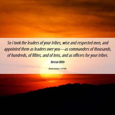 Picture 06 - Deuteronomy 1:15 BSB - So I took the leaders of your tribes, wise and - Bible Verse Picture