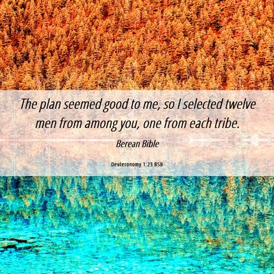 Picture 06 - Deuteronomy 1:23 BSB - The plan seemed good to me, so I selected twelve - Bible Verse Picture