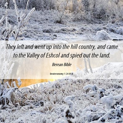 Picture 06 - Deuteronomy 1:24 BSB - They left and went up into the hill country, and - Bible Verse Picture