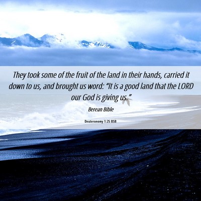 Picture 06 - Deuteronomy 1:25 BSB - They took some of the fruit of the land in their - Bible Verse Picture