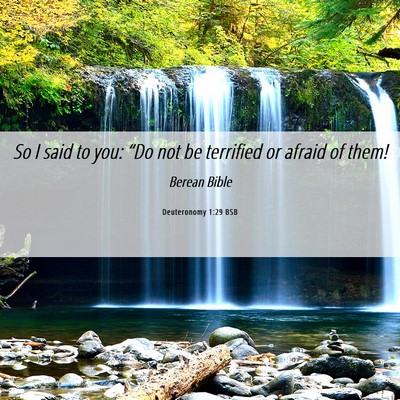 Picture 06 - Deuteronomy 1:29 BSB - So I said to you: “Do not be terrified or - Bible Verse Picture