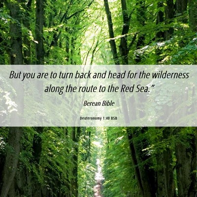Picture 06 - Deuteronomy 1:40 BSB - But you are to turn back and head for the - Bible Verse Picture