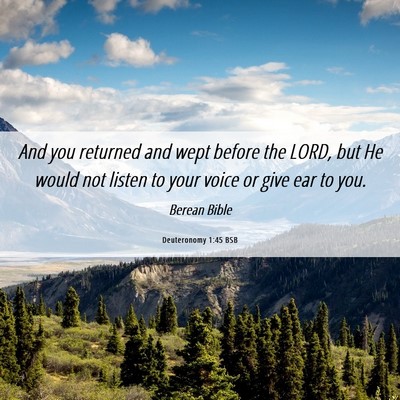 Picture 06 - Deuteronomy 1:45 BSB - And you returned and wept before the LORD, but He - Bible Verse Picture
