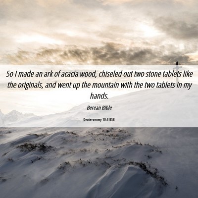 Picture 06 - Deuteronomy 10:3 BSB - So I made an ark of acacia wood, chiseled out two - Bible Verse Picture
