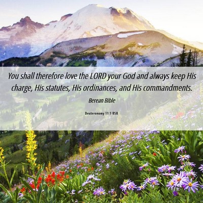 Picture 06 - Deuteronomy 11:1 BSB - You shall therefore love the LORD your God and - Bible Verse Picture